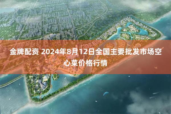 金牌配资 2024年8月12日全国主要批发市场空心菜价格行情