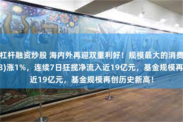 杠杆融资炒股 海内外再迎双重利好！规模最大的消费ETF(159928)涨1%，连续7日狂揽净流入近19亿元，基金规模再创历史新高！