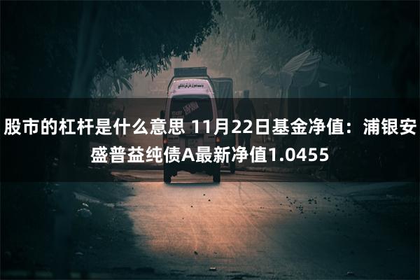 股市的杠杆是什么意思 11月22日基金净值：浦银安盛普益纯债A最新净值1.0455