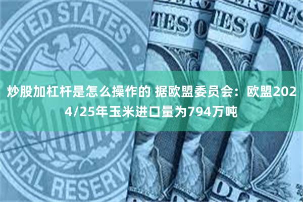 炒股加杠杆是怎么操作的 据欧盟委员会：欧盟2024/25年玉米进口量为794万吨