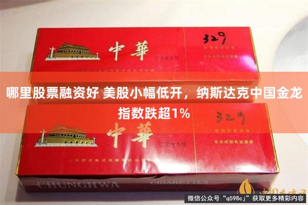 哪里股票融资好 美股小幅低开，纳斯达克中国金龙指数跌超1%