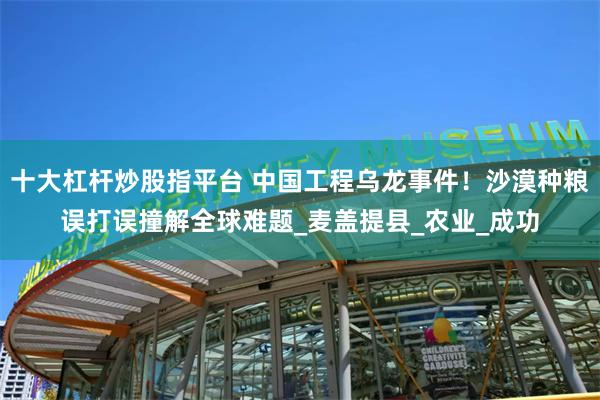 十大杠杆炒股指平台 中国工程乌龙事件！沙漠种粮误打误撞解全球难题_麦盖提县_农业_成功