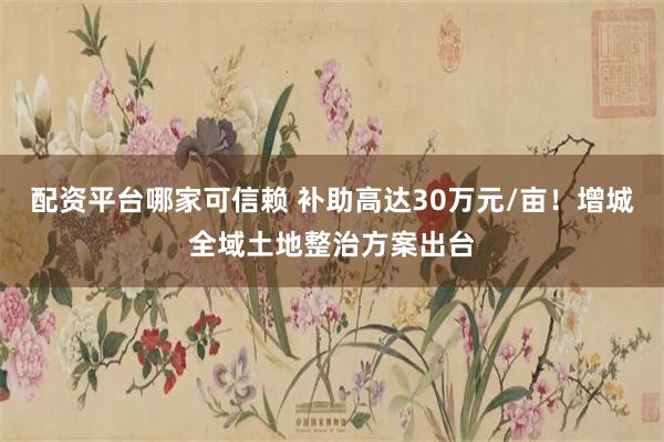 配资平台哪家可信赖 补助高达30万元/亩！增城全域土地整治方案出台