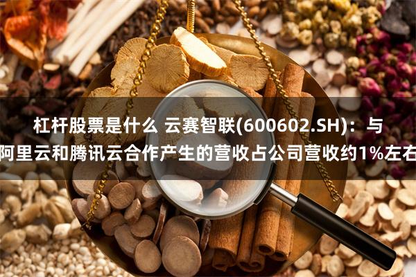 杠杆股票是什么 云赛智联(600602.SH)：与阿里云和腾讯云合作产生的营收占公司营收约1%左右