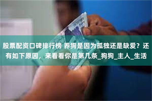 股票配资口碑排行榜 养狗是因为孤独还是缺爱？还有如下原因，来看看你是第几条_狗狗_主人_生活