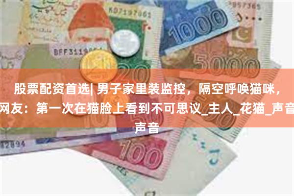 股票配资首选| 男子家里装监控，隔空呼唤猫咪，网友：第一次在猫脸上看到不可思议_主人_花猫_声音