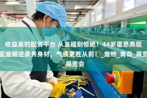 收益高的配资平台 从发福到惊艳！44岁霍思燕现身亚宠展逆袭秀身材，气质更胜从前！_宠物_青岛_展览会