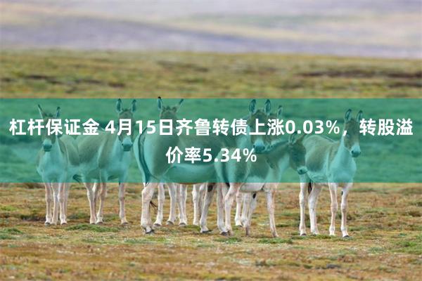 杠杆保证金 4月15日齐鲁转债上涨0.03%，转股溢价率5.34%
