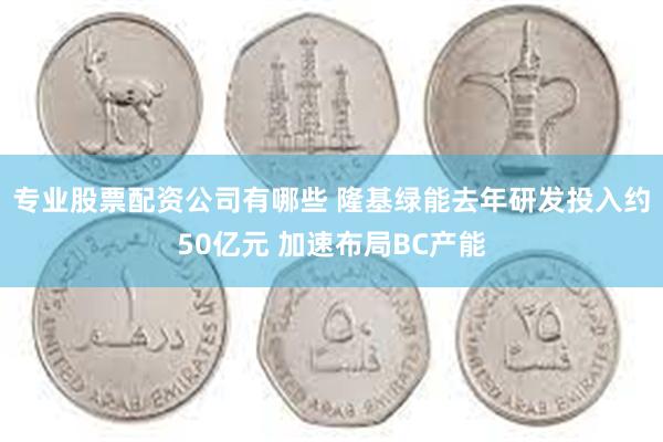 专业股票配资公司有哪些 隆基绿能去年研发投入约50亿元 加速布局BC产能