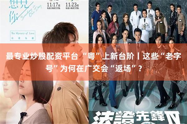 最专业炒股配资平台 “粤”上新台阶丨这些“老字号”为何在广交会“返场”？