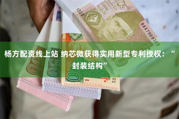 杨方配资线上站 纳芯微获得实用新型专利授权：“封装结构”