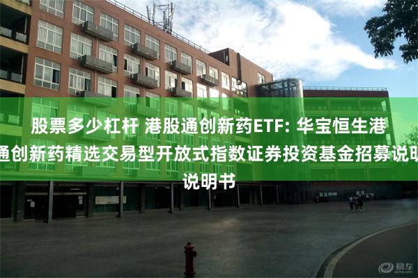 股票多少杠杆 港股通创新药ETF: 华宝恒生港股通创新药精选交易型开放式指数证券投资基金招募说明书