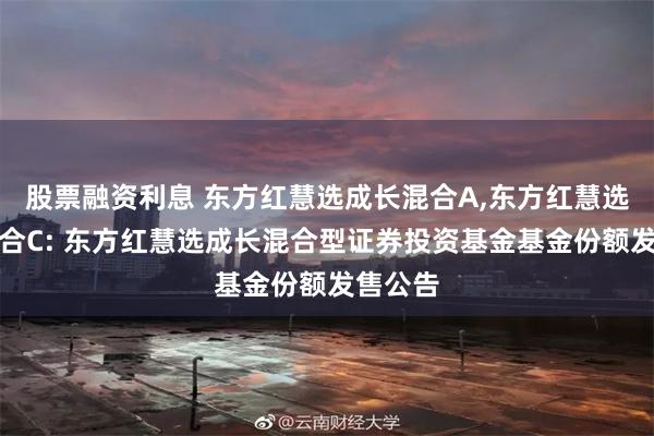 股票融资利息 东方红慧选成长混合A,东方红慧选成长混合C: 东方红慧选成长混合型证券投资基金基金份额发售公告