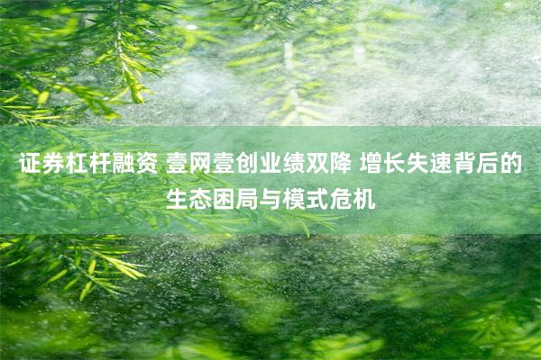 证券杠杆融资 壹网壹创业绩双降 增长失速背后的生态困局与模式危机