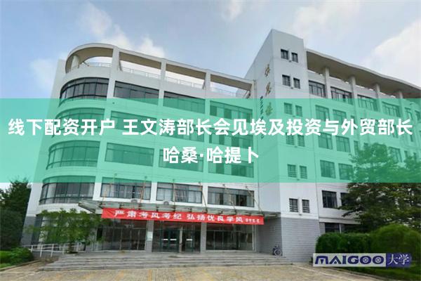 线下配资开户 王文涛部长会见埃及投资与外贸部长哈桑·哈提卜