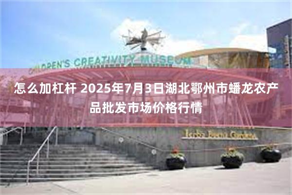 怎么加杠杆 2025年7月3日湖北鄂州市蟠龙农产品批发市场价格行情