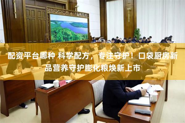 配资平台哪种 科学配方，专注守护！口袋厨房新品营养守护膨化粮焕新上市
