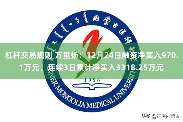 杠杆交易规则 万里扬:12月24日融资净买入970.1万元,连续3日累计净买入3318.25万元